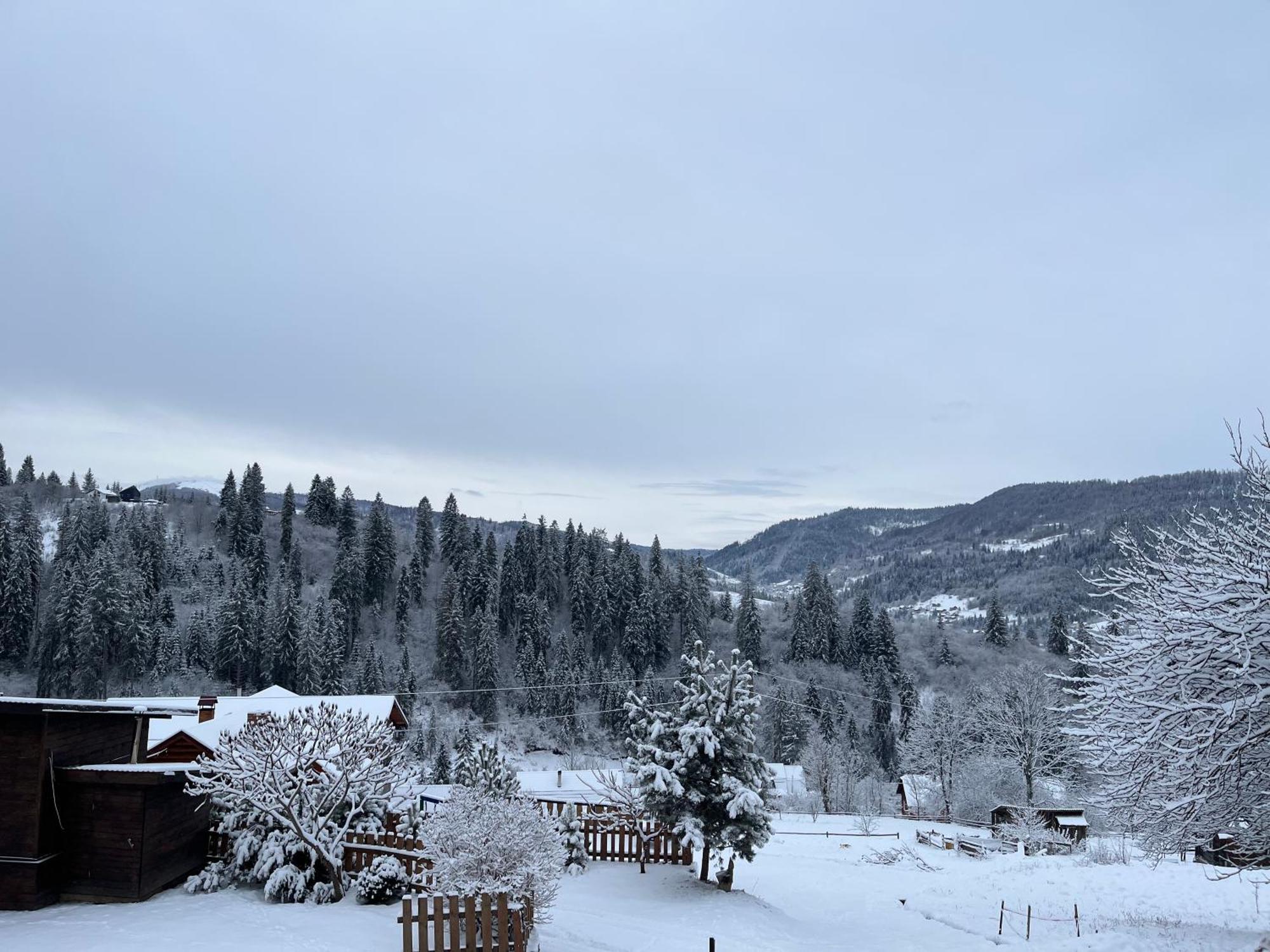 Villa Hirska Vatra Slavske Exterior foto